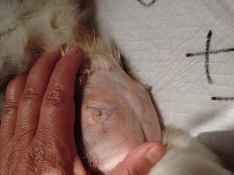 DSC_5974_copy_800x600