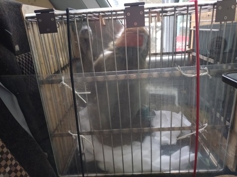 20260302_105128_copy_800x600