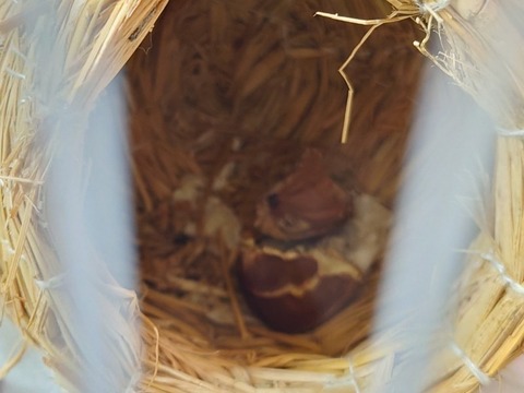 20231013_204552_copy_800x600