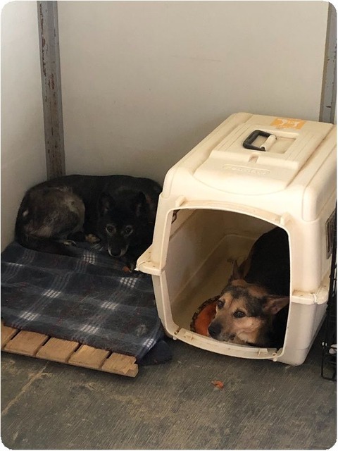 1588305439720_copy_600x800