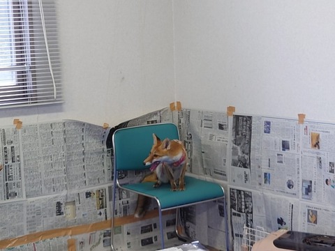 20220724_123832_copy_800x600_1