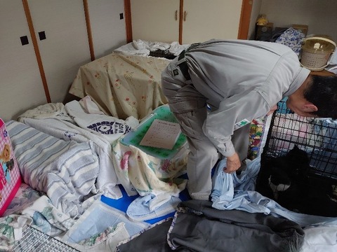 DSC_1038_copy_800x600