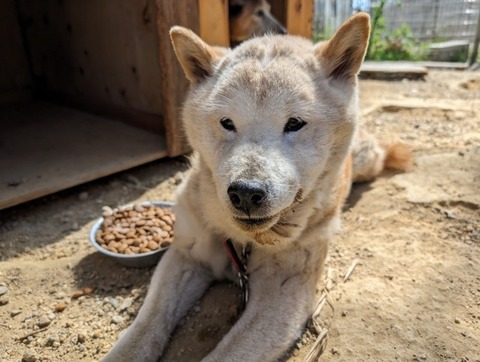 1723109176170_copy_800x603_copy_800x603