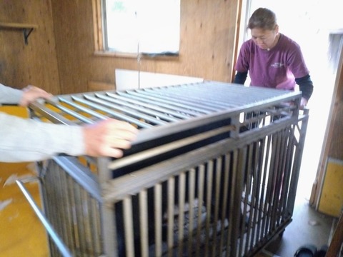 20251106_072644~2_copy_800x600