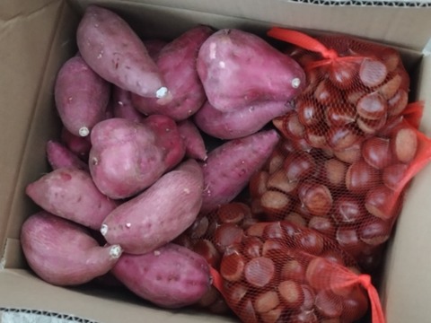 20250923_172420_copy_816x612