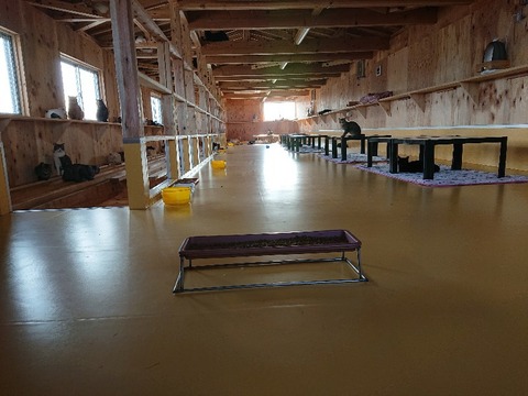 DSC_5804_copy_800x600