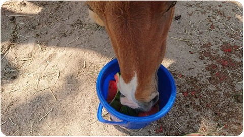 DSCPDC_0001_BURST20190515144