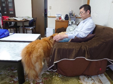 DSC_5644_copy_800x600