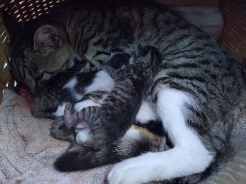 20250625_093528_copy_800x600