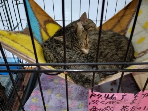 20251125_133308_copy_800x600