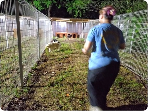 20250807_205522