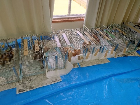 20230405_111222_copy_800x600