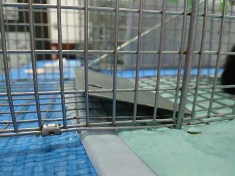 20230403_145632_copy_800x600