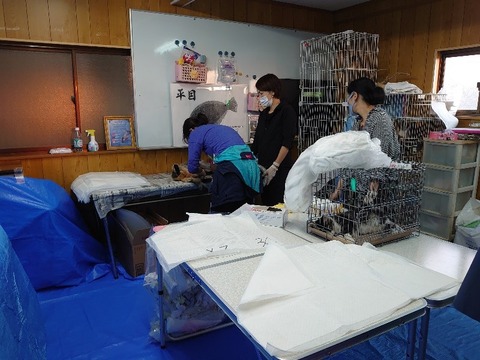 DSC_0897_copy_800x600