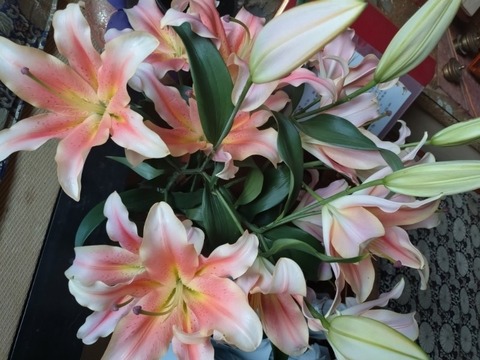 20260118_163107_copy_800x600