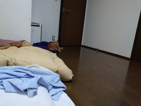 DSC_5658_copy_800x600