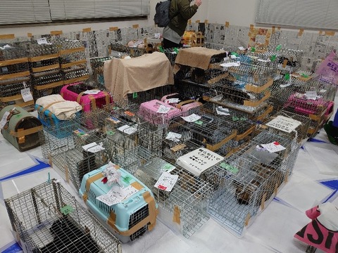 DSC_3360_copy_800x600