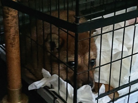 DSC_6874_copy_800x600