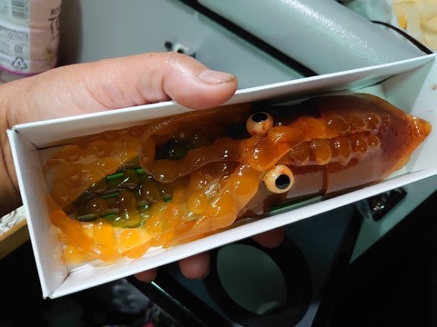 DSC_0282_copy_800x600