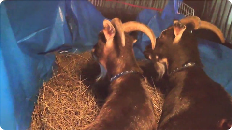 Screenshot_20240921-151108