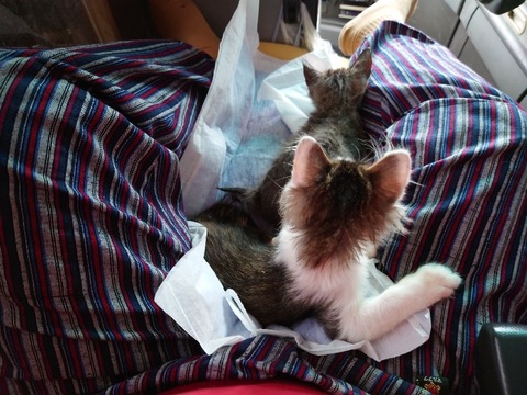 20221010_142342_copy_800x600