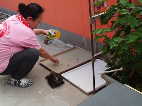 20230820_174932_copy_800x600