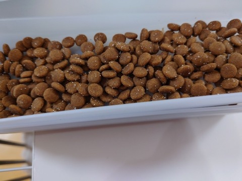 20230301_083442_copy_800x600