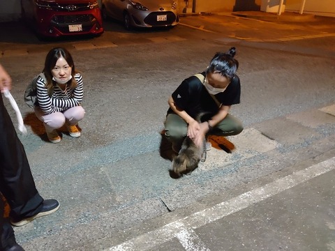 DSC_0643_copy_800x600