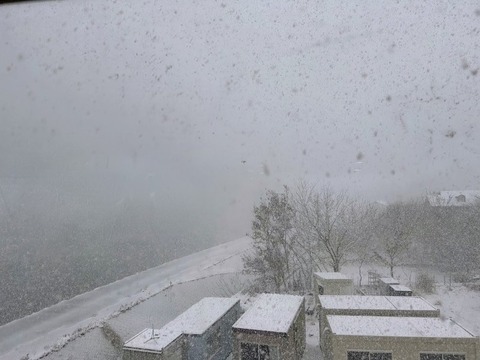 1770531527410~2_copy_800x600