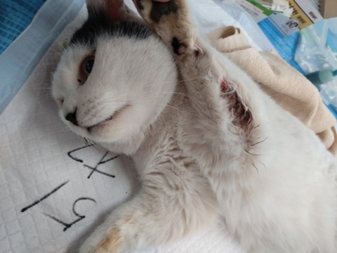 20251221_104511_copy_800x600