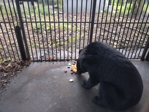 20251106_072802_copy_800x600