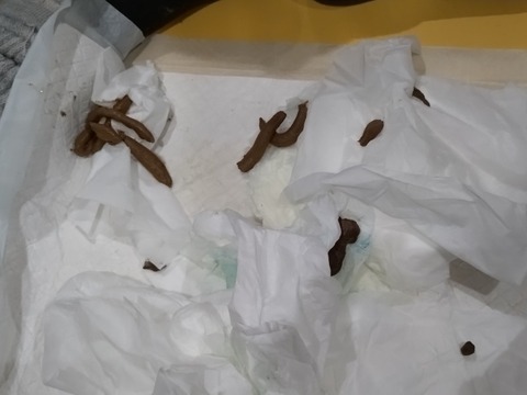 20251210_191409_copy_800x600