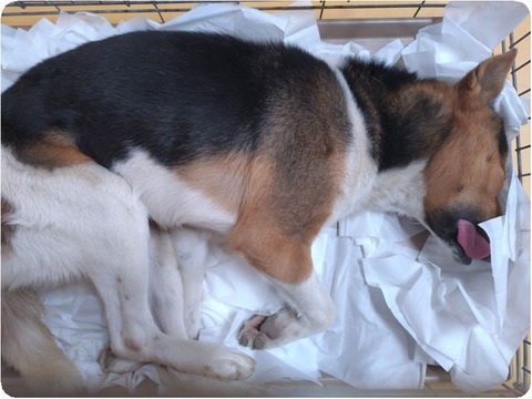 original_32385128-fc4d-4fec-a70f-f1443c88206d_20250105_143932