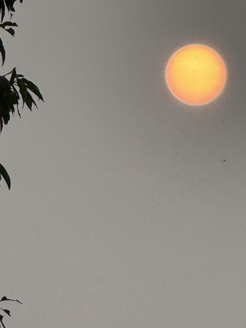1788595092688_copy_600x800