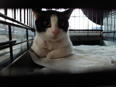 DSC_0860_copy_800x600