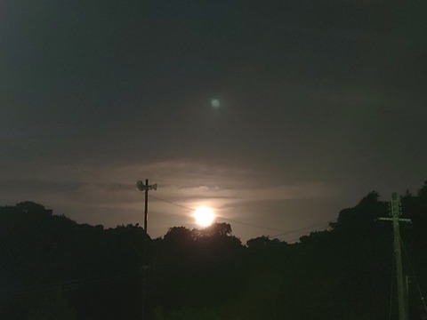 DSC_0639_copy_800x600