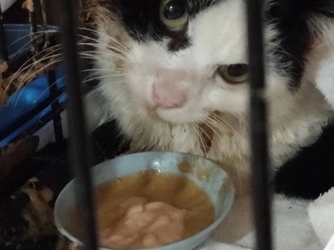 20260221_202704_copy_800x600