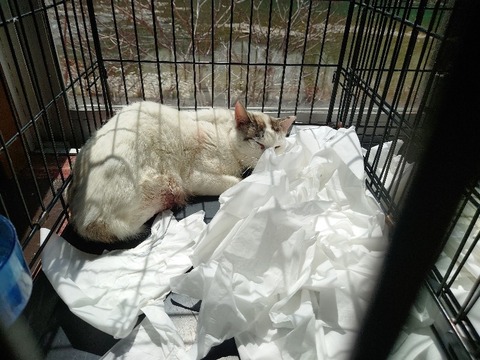 20230404_120239_copy_800x600