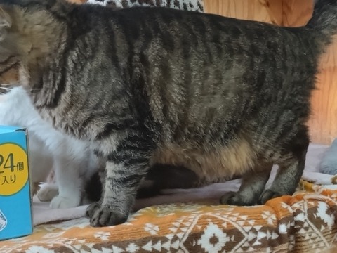 20251102_072713_copy_816x612