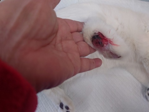 20240124_092514_copy_800x600