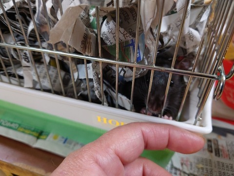 20231226_071732_copy_800x600