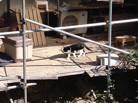 20251023_093917_copy_816x612