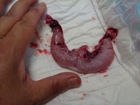 DSC_1291_copy_800x600