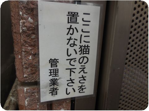 DSCN4661