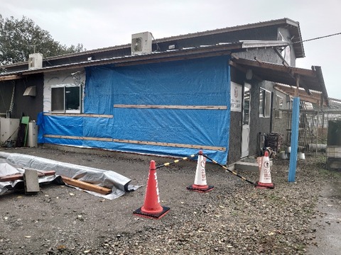 DSC_1641_copy_800x600