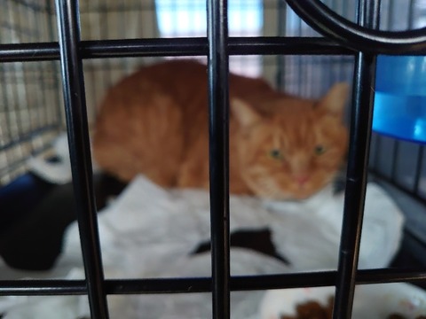 DSC_1893_copy_800x600