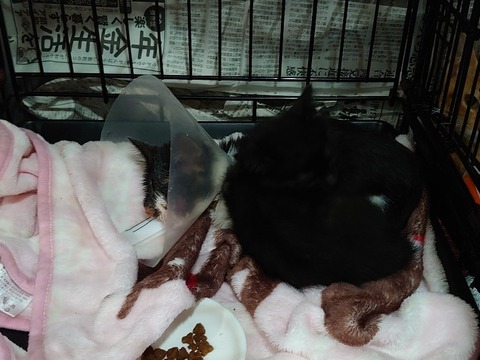 DSC_0907_copy_800x600