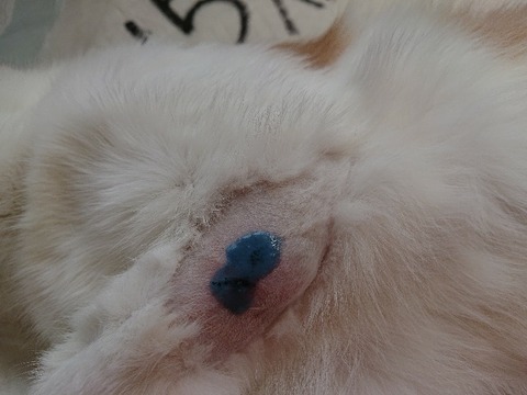 DSC_5821_copy_800x600