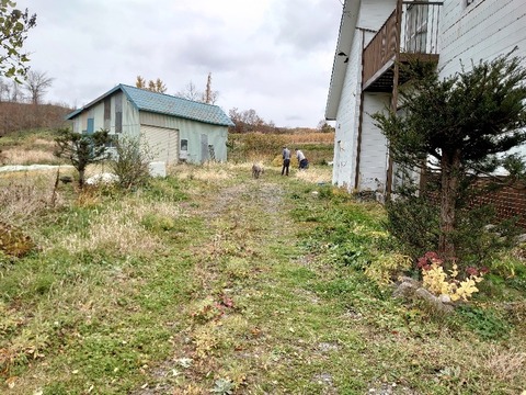 DSC_1849_copy_800x600