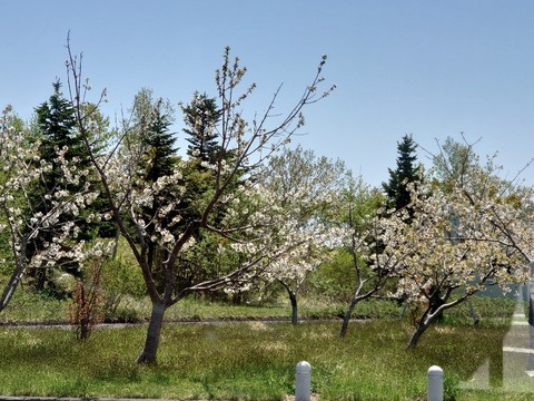 DSC_5706_copy_800x600